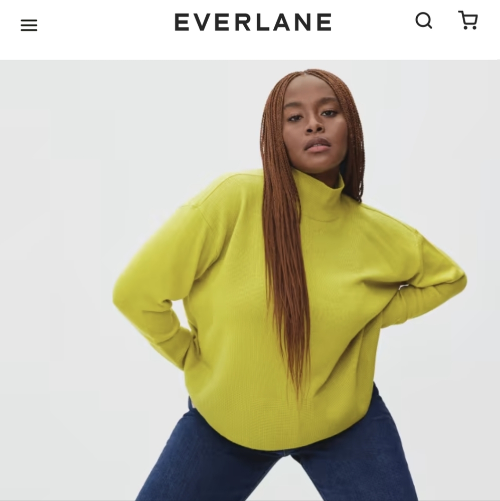 Everlane The Cashmere Square Turtleneck size small